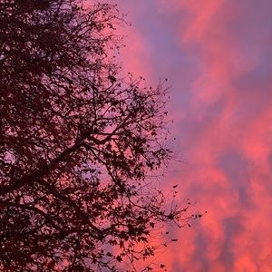 Meet your Posher, Eva